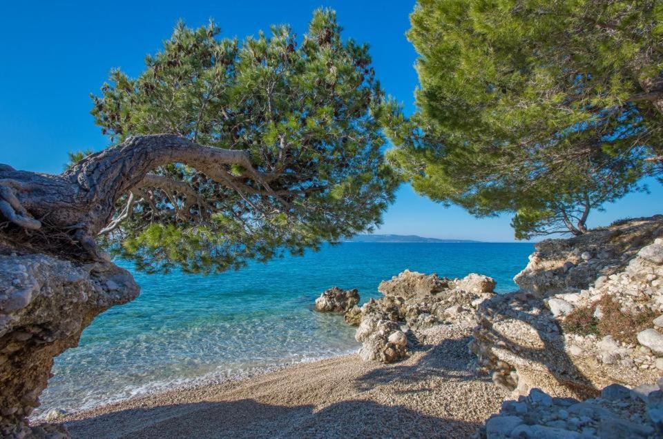 Apartments Kovacic Makarska Ngoại thất bức ảnh